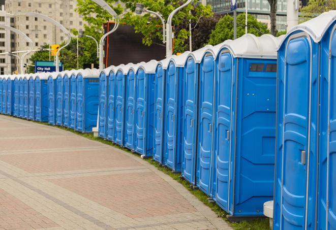 a line of portable restrooms set up for a wedding or special event, ensuring guests have access to comfortable and clean facilities throughout the duration of the celebration in Albany